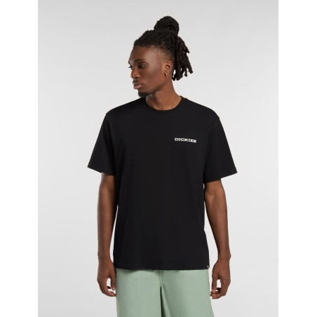 Dickies LANDASCAPE SS TEE T-Shirt Uomo Con Stampa Su Retro Nero
