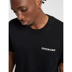 Dickies LANDASCAPE SS TEE T-Shirt Uomo Con Stampa Su Retro Nero 2