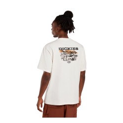Dickies LANDASCAPE SS TEE T-Shirt Uomo Con Stampa Su Retro Egret 2
