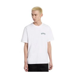 Dickies CIRCLE LOGO SS TEE T-Shirt Uomo Con Stampa Su Retro Bianco