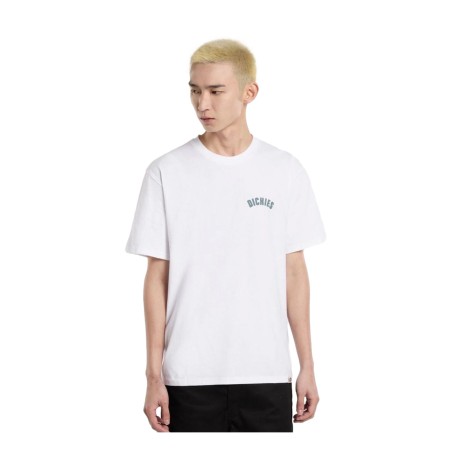 Dickies CIRCLE LOGO SS TEE T-Shirt Uomo Con Stampa Su Retro Bianco