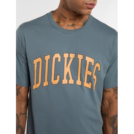 Dickies AITKIN TEE T-Shirt Uomo Maniche Corte Stormy Weather 