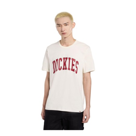 Dickies AITKIN TEE T-Shirt Uomo Maniche Corte Egret