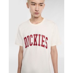 Dickies AITKIN TEE T-Shirt Uomo Maniche Corte Egret 2