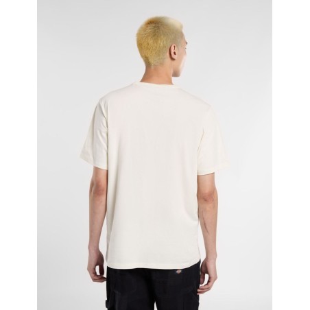 Dickies AITKIN TEE T-Shirt Uomo Maniche Corte Egret
