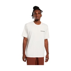 Dickies LANDASCAPE SS TEE T-Shirt Uomo Con Stampa Su Retro Egret
