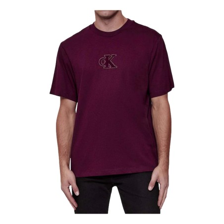 Calvin Klein 253G T-Shirt Uomo Girocollo Con Logo Frontale Viola