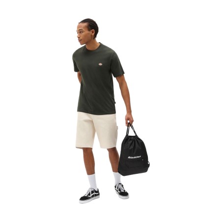 Dickies DK0A4XDBOGX1 MAPLETON SS TEE T-Shirt Uomo con Logo Laterale Stampato Verde