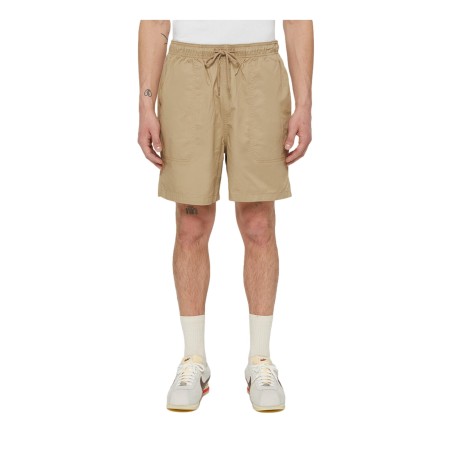 Dickies DK0A4XB2DS0 PELICAN RAPIDS Short Uomo Beige