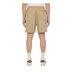 Dickies DK0A4XB2DS0 PELICAN RAPIDS Short Uomo Beige 2