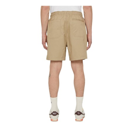 Dickies DK0A4XB2DS0 PELICAN RAPIDS Short Uomo Beige