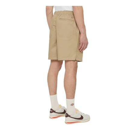 Dickies DK0A4XB2DS0 PELICAN RAPIDS Short Uomo Beige