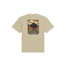 Dickies DK0A88QQL441 DARRTOWN SS TEE T-Shirt Uomo Beige 2