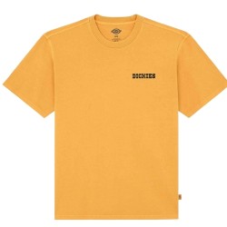 Dickies DK0A88QQSOR1 DARRTOWN SS TEE T-Shirt Uomo Senape