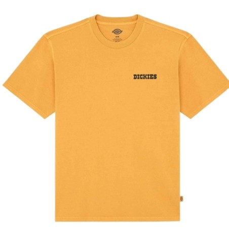 Dickies DK0A88QQSOR1 DARRTOWN SS TEE T-Shirt Uomo Senape