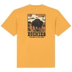 Dickies DK0A88QQSOR1 DARRTOWN SS TEE T-Shirt Uomo Senape 2