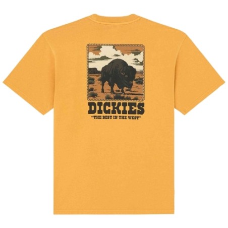Dickies DK0A88QQSOR1 DARRTOWN SS TEE T-Shirt Uomo Senape