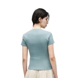 Dickies DK0A87QBL371 GLADEVILLE SS TEE W T-Shirt Donna con Logo Ricamato Stormy 2