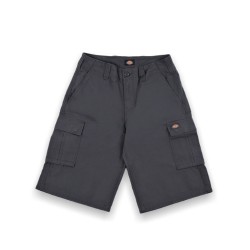 Dickies DK0A89EFCH0 EAGLE BEND Short Uomo Grigio