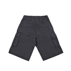 Dickies DK0A89EFCH0 EAGLE BEND Short Uomo Grigio 2