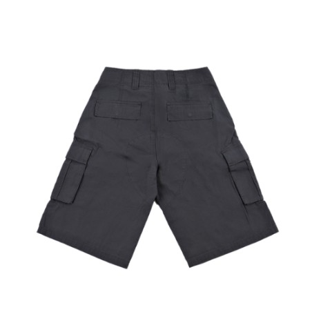 Dickies DK0A89EFCH0 EAGLE BEND Short Uomo Grigio