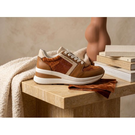 Gattinoni Planetarium New EDISON 6338 521 Scarpe Donna Sneakers Stringate Tan Classic