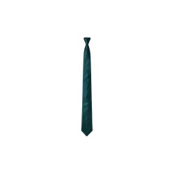 GC LUXURY Cravatta Uomo Slim In Raso Verde Petrolio