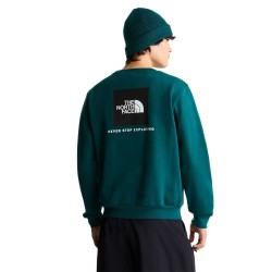 The North Face NF0A8FD3N4J EVO SD REGULAR CREW Felpa Uomo Pacific Teal 2