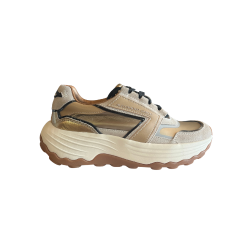 Alexander Smith WSW 2197 CMG WINDSOR Sneakers Donna Stringate Camel Gold