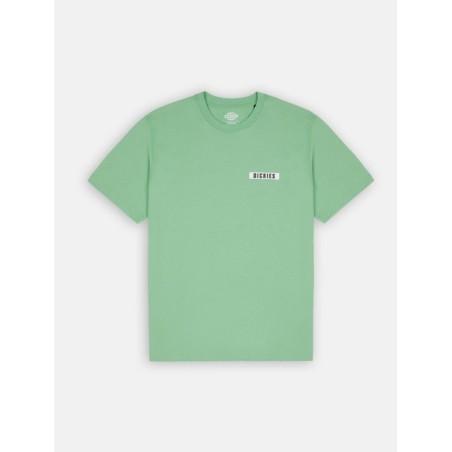 Dickies Baker City T-Shirt Uomo Maniche Corte Verde   