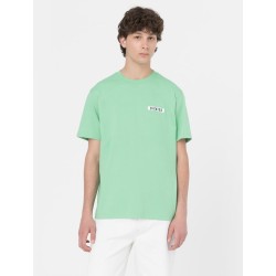 Dickies Baker City T-Shirt Uomo Maniche Corte Verde    2