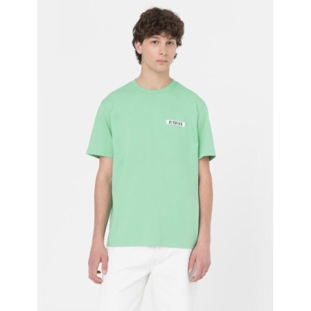 Dickies Baker City T-Shirt Uomo Maniche Corte Verde   