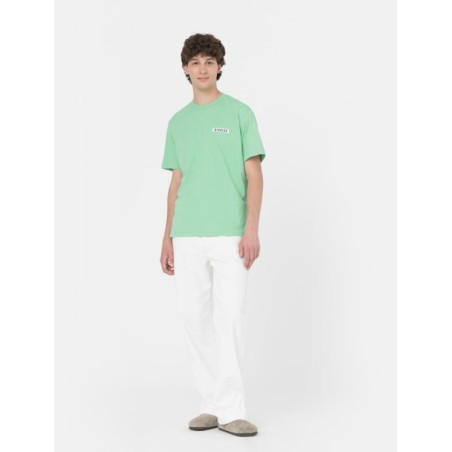 Dickies Baker City T-Shirt Uomo Maniche Corte Verde   