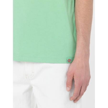 Dickies Baker City T-Shirt Uomo Maniche Corte Verde   
