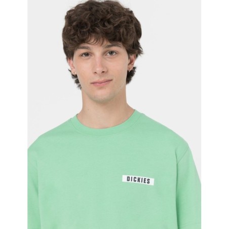 Dickies Baker City T-Shirt Uomo Maniche Corte Verde   