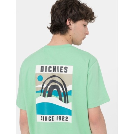 Dickies Baker City T-Shirt Uomo Maniche Corte Verde   