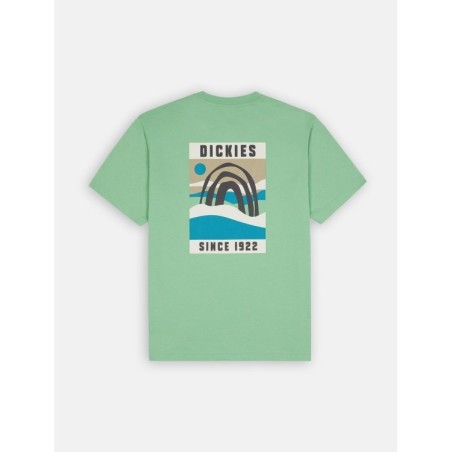 Dickies Baker City T-Shirt Uomo Maniche Corte Verde   